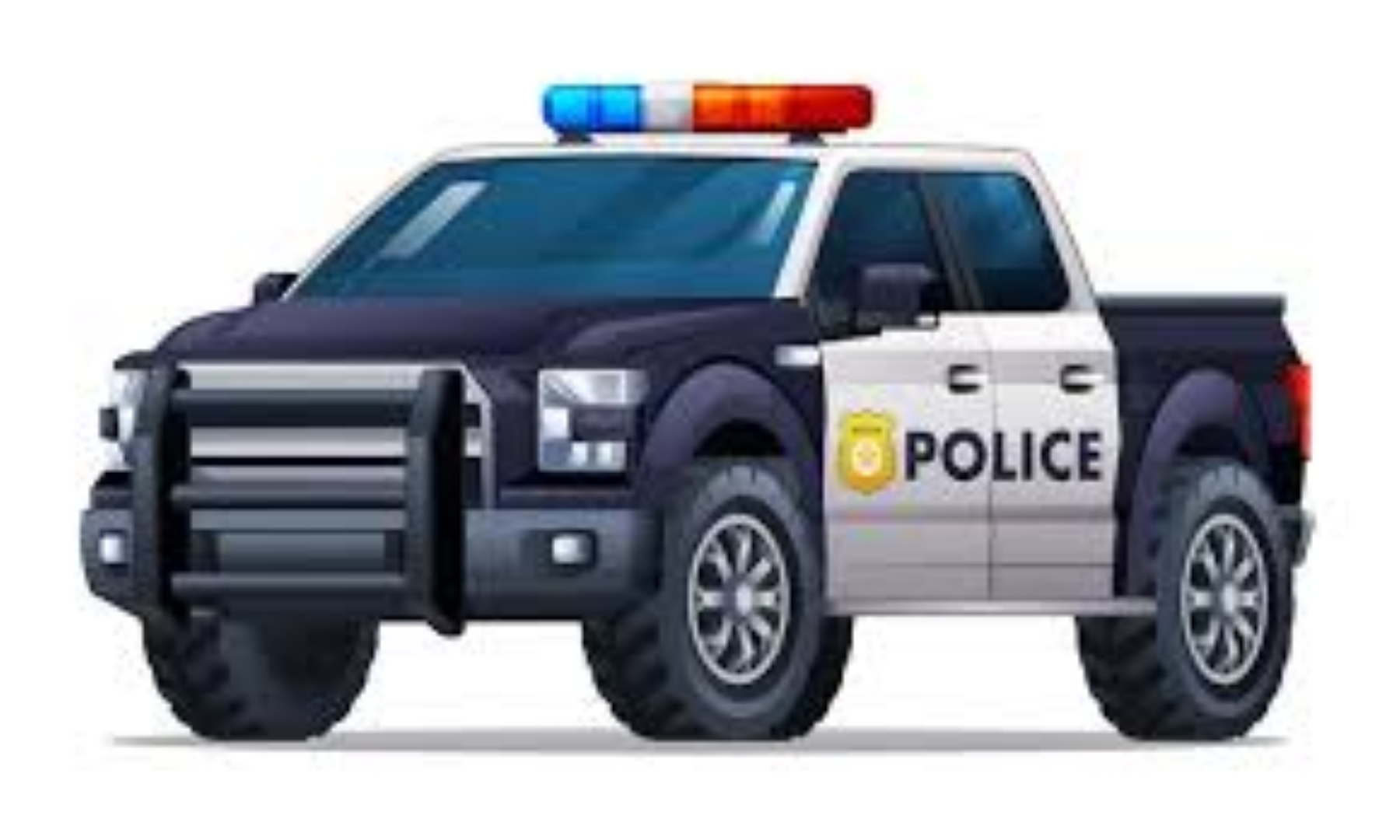 CAR POLICE PICKUP NS 181144